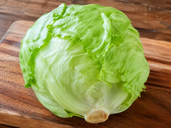 Iceberg lettuce photo